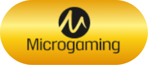 mini_provider